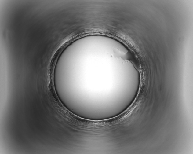 X0000096461165200801241112