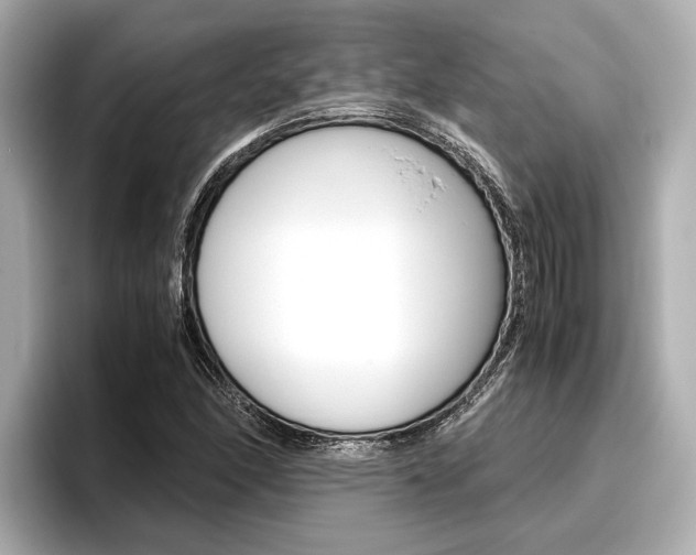 X0000096461166200801241112