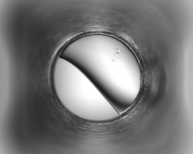 X0000096461167200801241112