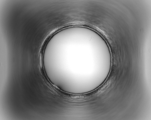 X0000096461171200801241112