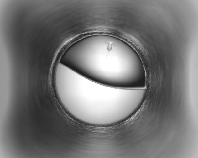 X0000096461172200801241112