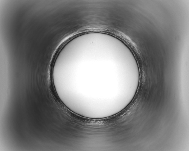 X0000096461174200801241112