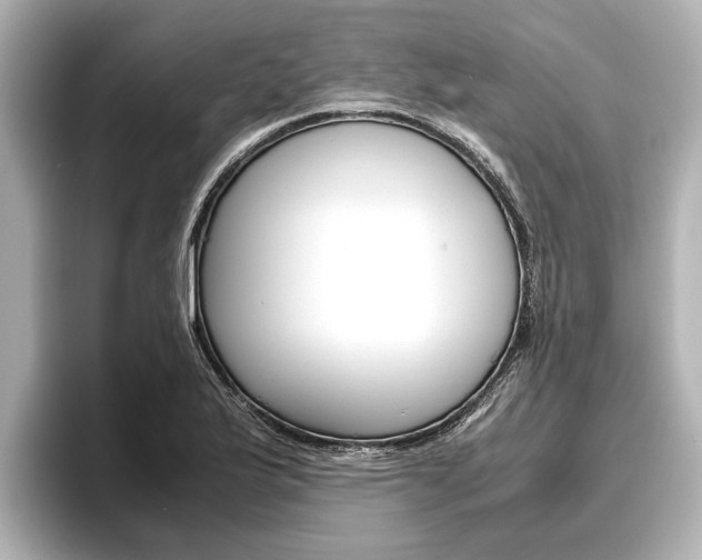 X0000096461175200801241112