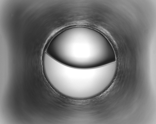X0000096461176200801241112