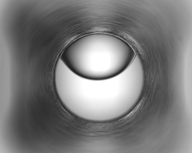 X0000096461177200801241112