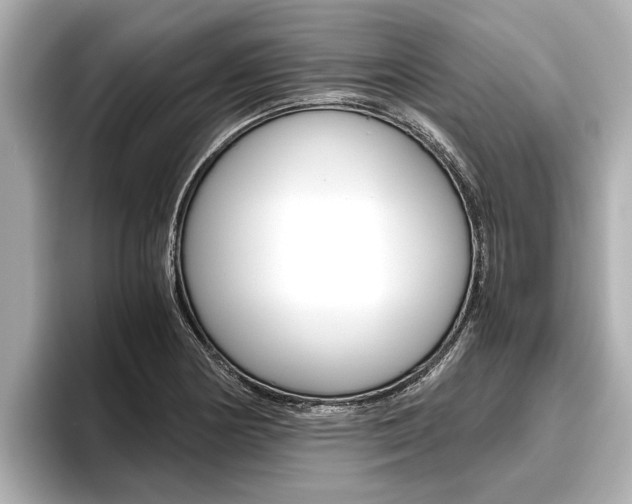 X0000096461178200801241112