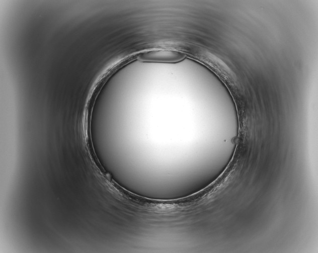 X0000096461180200801241112