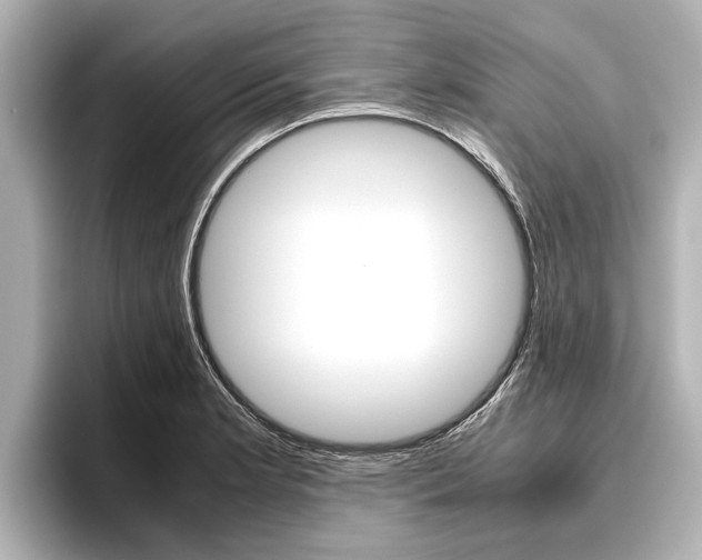 X0000096461181200801241112