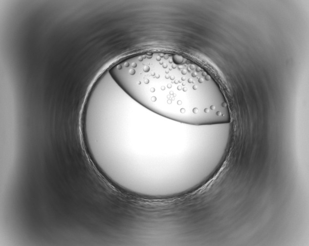 X0000096461182200801241112
