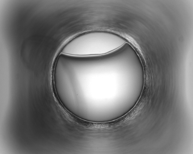 X0000096461183200801241112