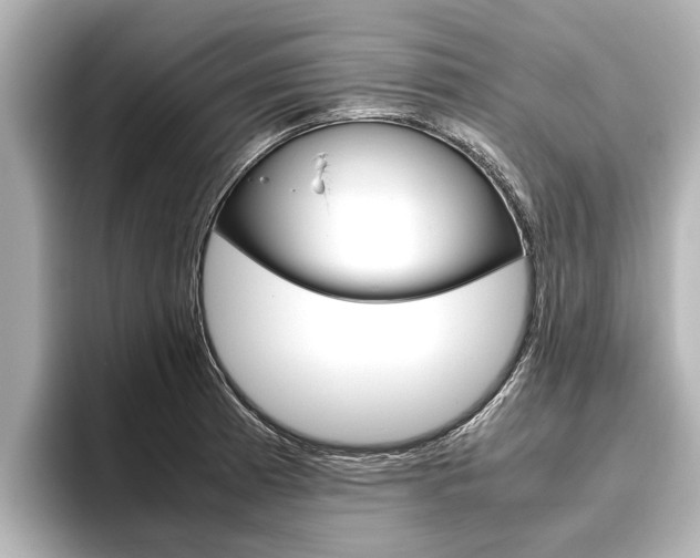 X0000096461185200801241112