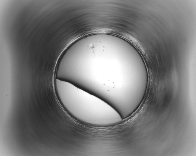 X0000096461186200801241112