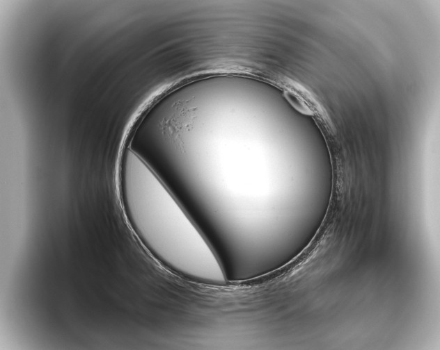 X0000096461188200801241112
