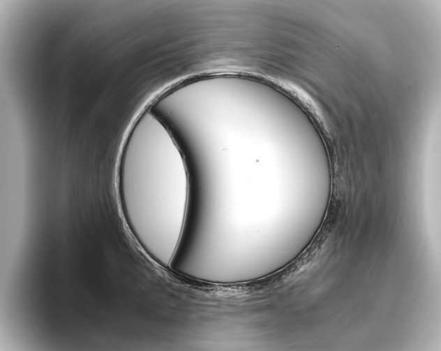 X0000096461191200801241112