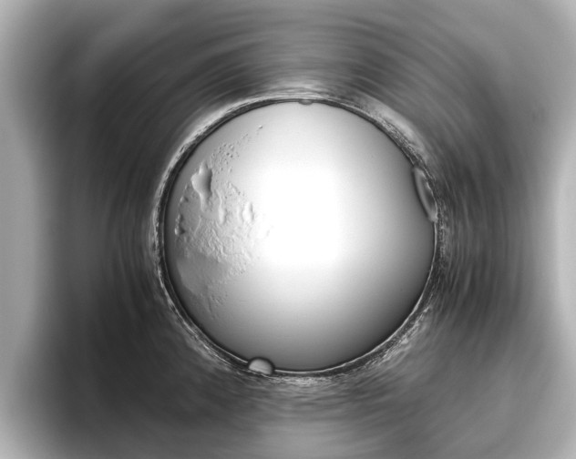 X0000096461192200801241112