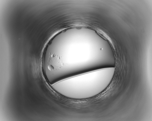 X0000096461195200801241112