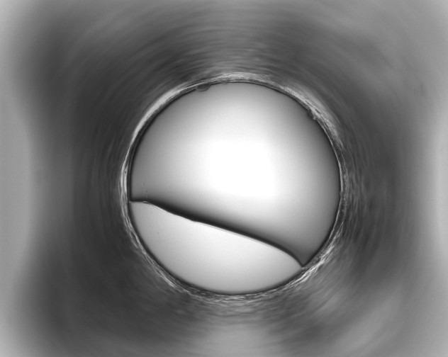 X0000096461198200801241112