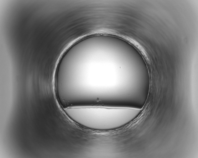 X0000096461199200801241112