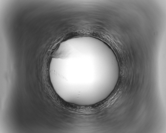 X0000096461201200801241111