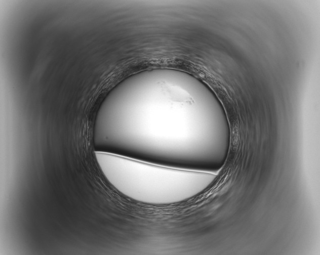 X0000096461202200801241111