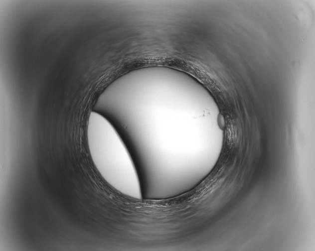 X0000096461204200801241111