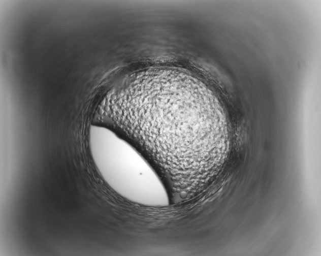 X0000096461205200801241111