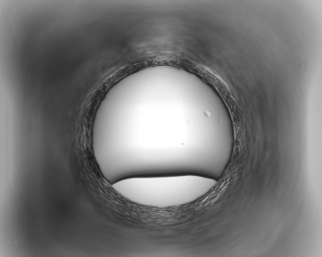 X0000096461207200801241111