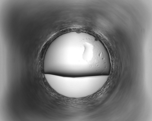 X0000096461208200801241111
