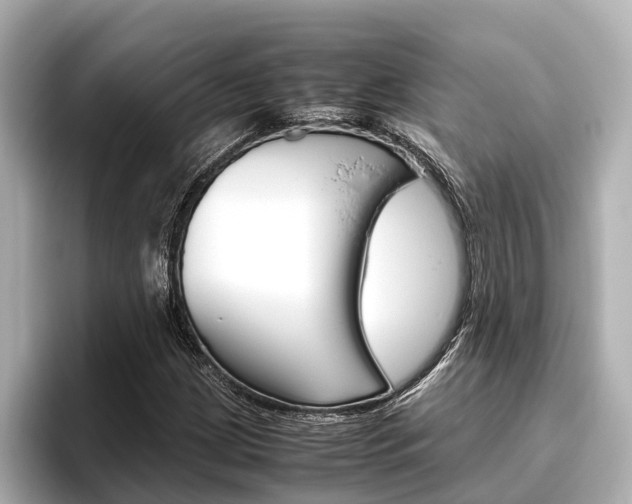 X0000096461209200801241111