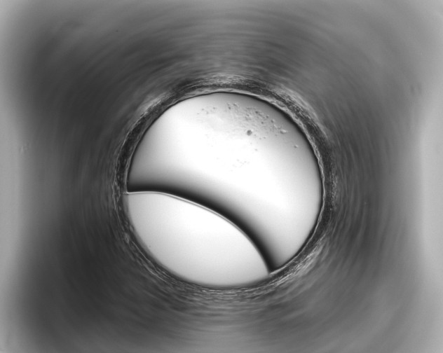 X0000096461210200801241111
