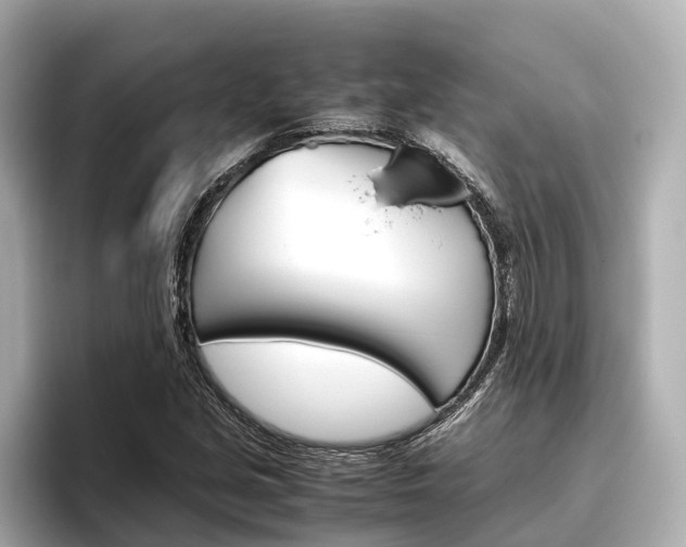 X0000096461213200801241111