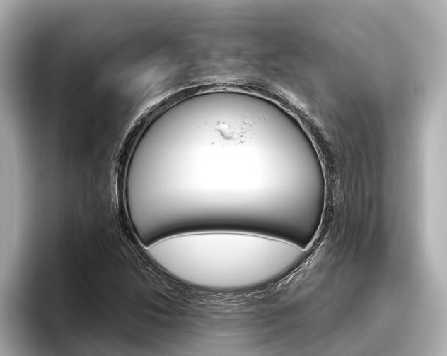 X0000096461214200801241111