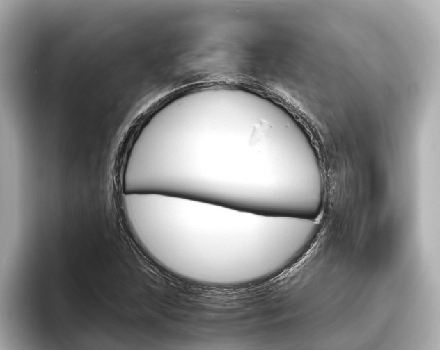 X0000096461215200801241111