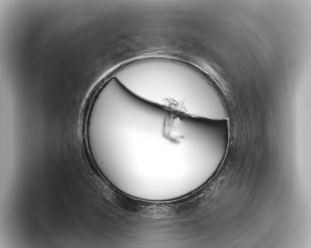 X0000096461216200801241111
