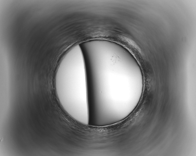 X0000096461217200801241111