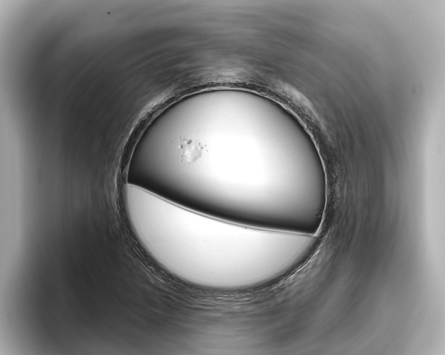 X0000096461218200801241111