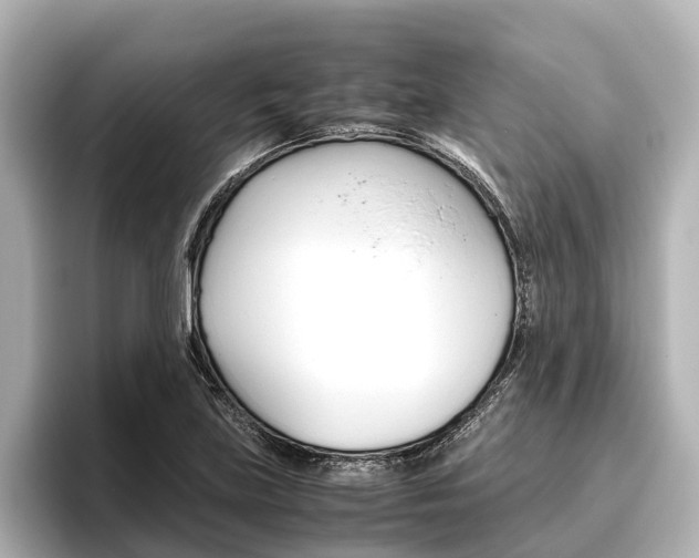 X0000096461219200801241111