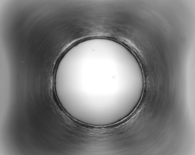 X0000096461220200801241111