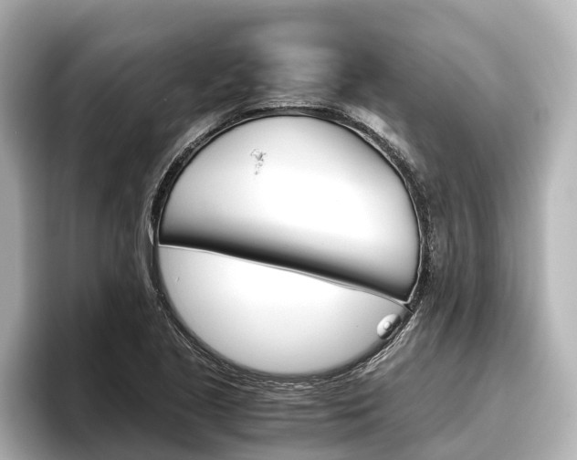 X0000096461221200801241111