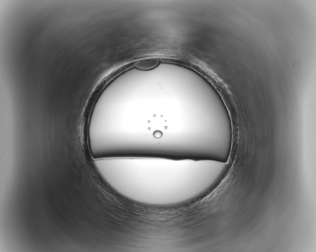 X0000096461222200801241111