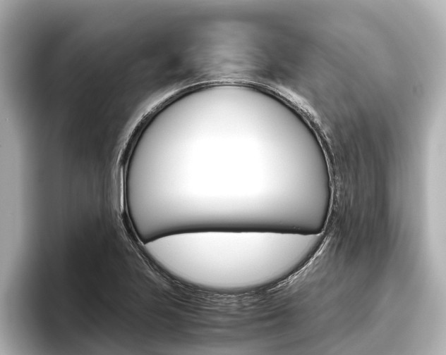 X0000096461223200801241111