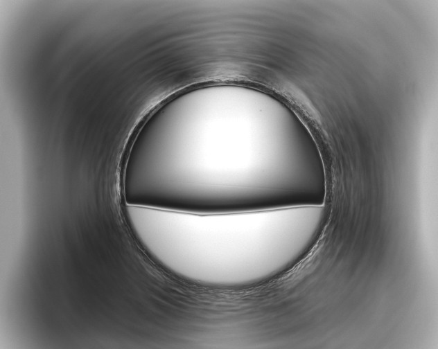 X0000096461226200801241111