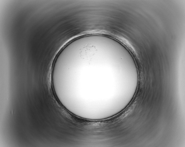 X0000096461228200801241111