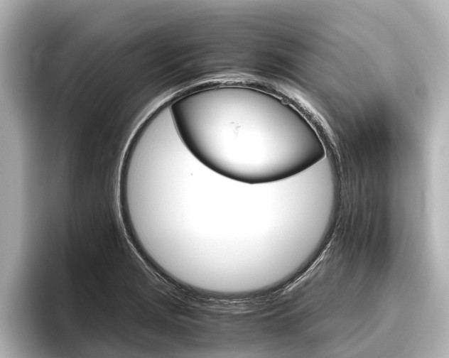 X0000096461229200801241111