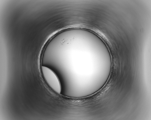 X0000096461230200801241111