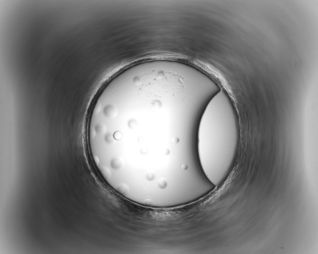 X0000096461231200801241111
