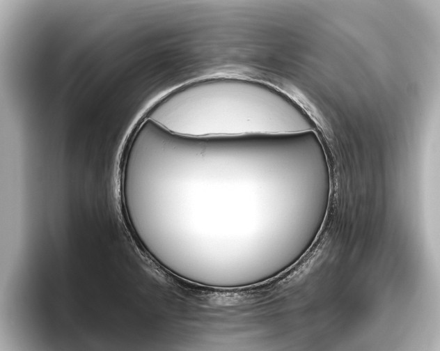 X0000096461232200801241111
