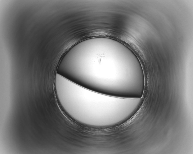 X0000096461233200801241111