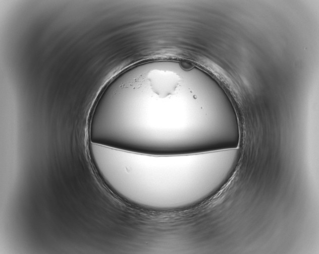 X0000096461234200801241111