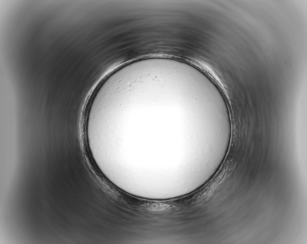 X0000096461235200801241111